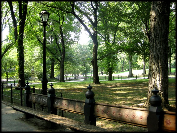 Wallpapers Nature Parks - Gardens Au centre de Central Park