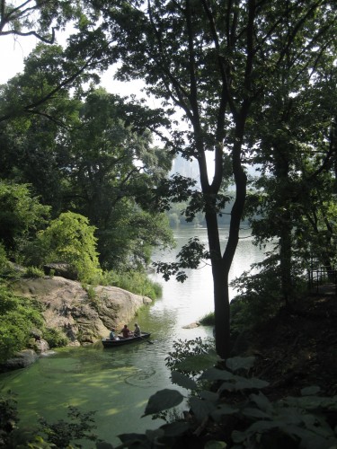 Fonds d'cran Nature Parcs - Jardins Petit coin de paradis dans Central Park