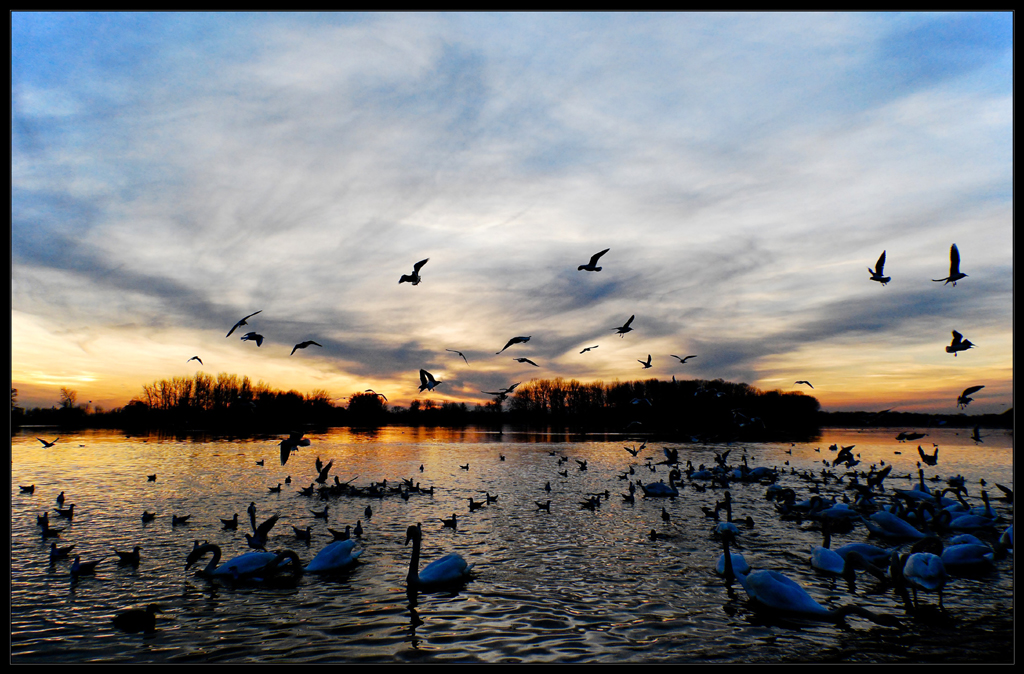 Fonds d'cran Nature Paysages Vue sur le Rhin