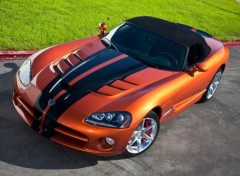 Fonds d'cran Voitures Dodge-Viper-SRT10