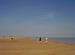 Fonds d'cran Nature PROMENADE SUR LES PLAGES DE L'ILE DE R.