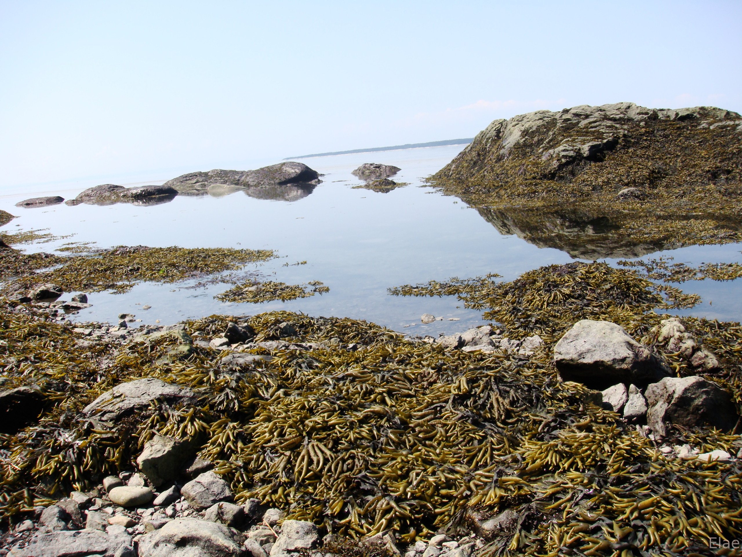 Fonds d'cran Nature Mers - Ocans - Plages canada one