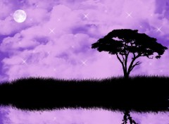 Wallpapers Digital Art Purple Dream