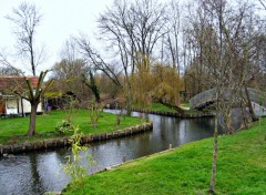 Wallpapers Nature SUR LES CANNAUX DE LA SOMME EN HIVER