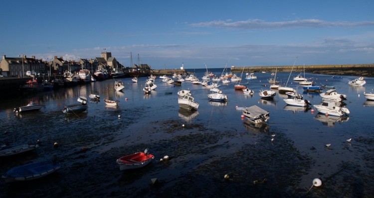 Fonds d'cran Nature Mers - Ocans - Plages Port  mare basse