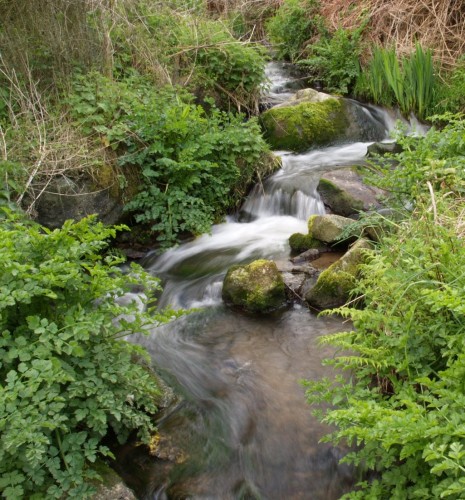 Fonds d'cran Nature Fleuves - Rivires - Torrents riviere