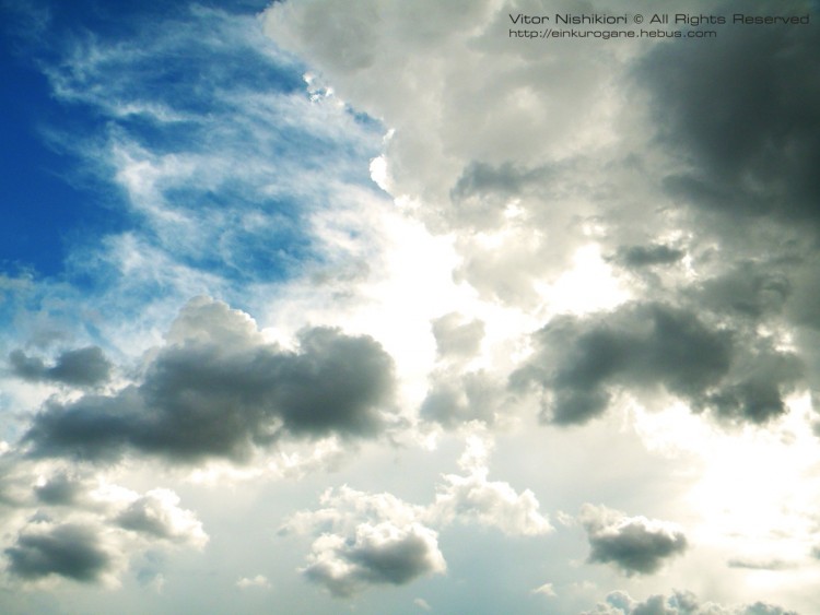 Fonds d'cran Nature Ciel - Nuages Fly so high