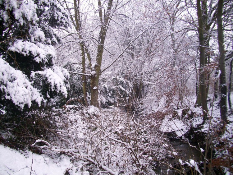 Wallpapers Nature Saisons - Winter fort