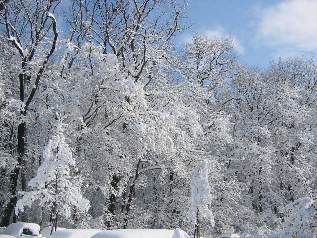 Fonds d'cran Nature Saisons - Hiver Hivers 2005 - Besanon