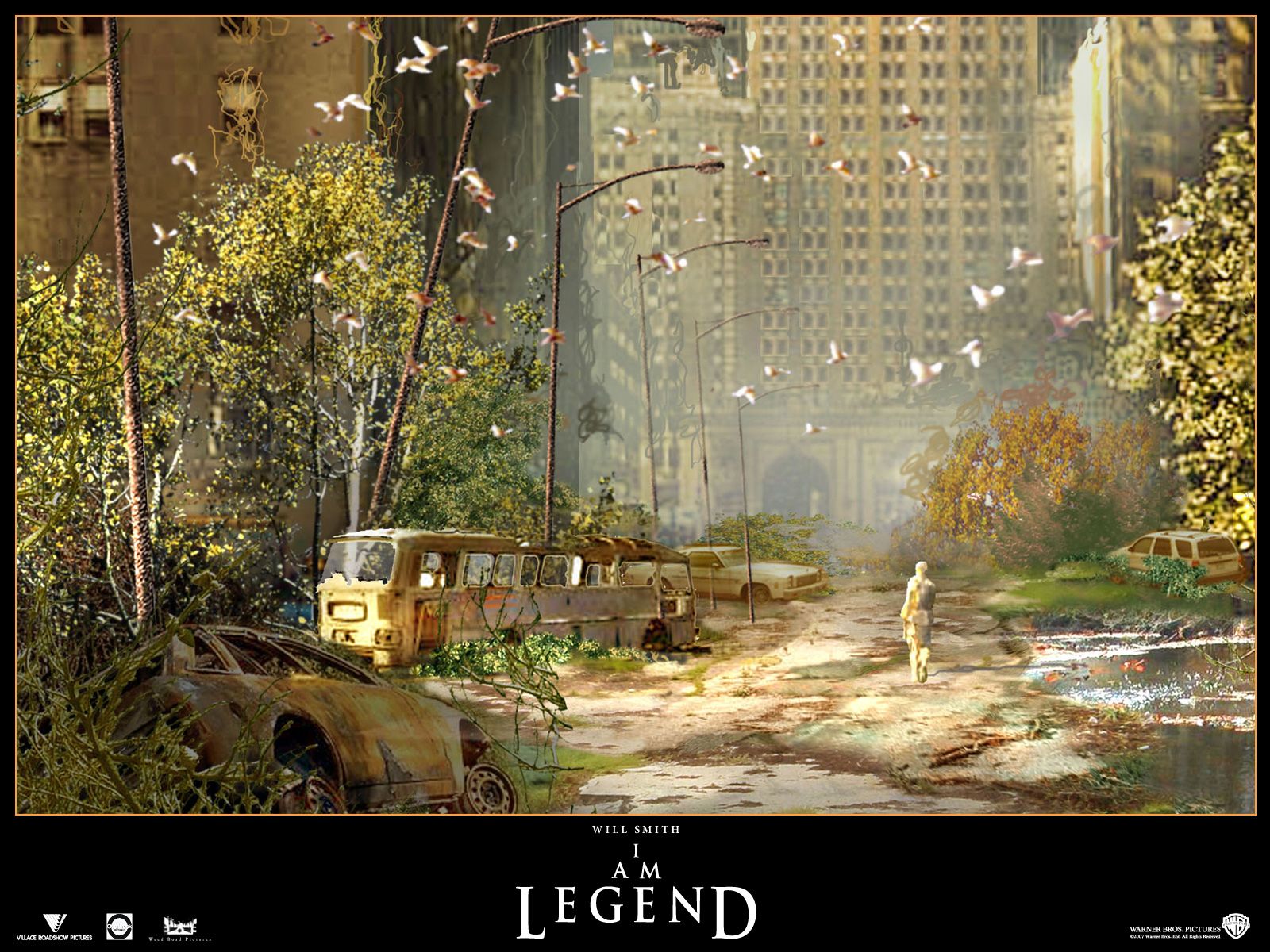 Wallpapers Movies I Am Legend Je suis une legende