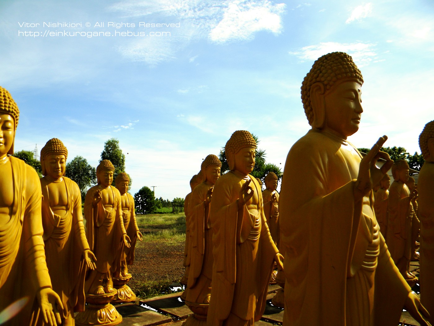 Wallpapers Trips : South America Brazil Buddha Statues