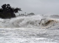 Fonds d'cran Nature avanrt le cyclone