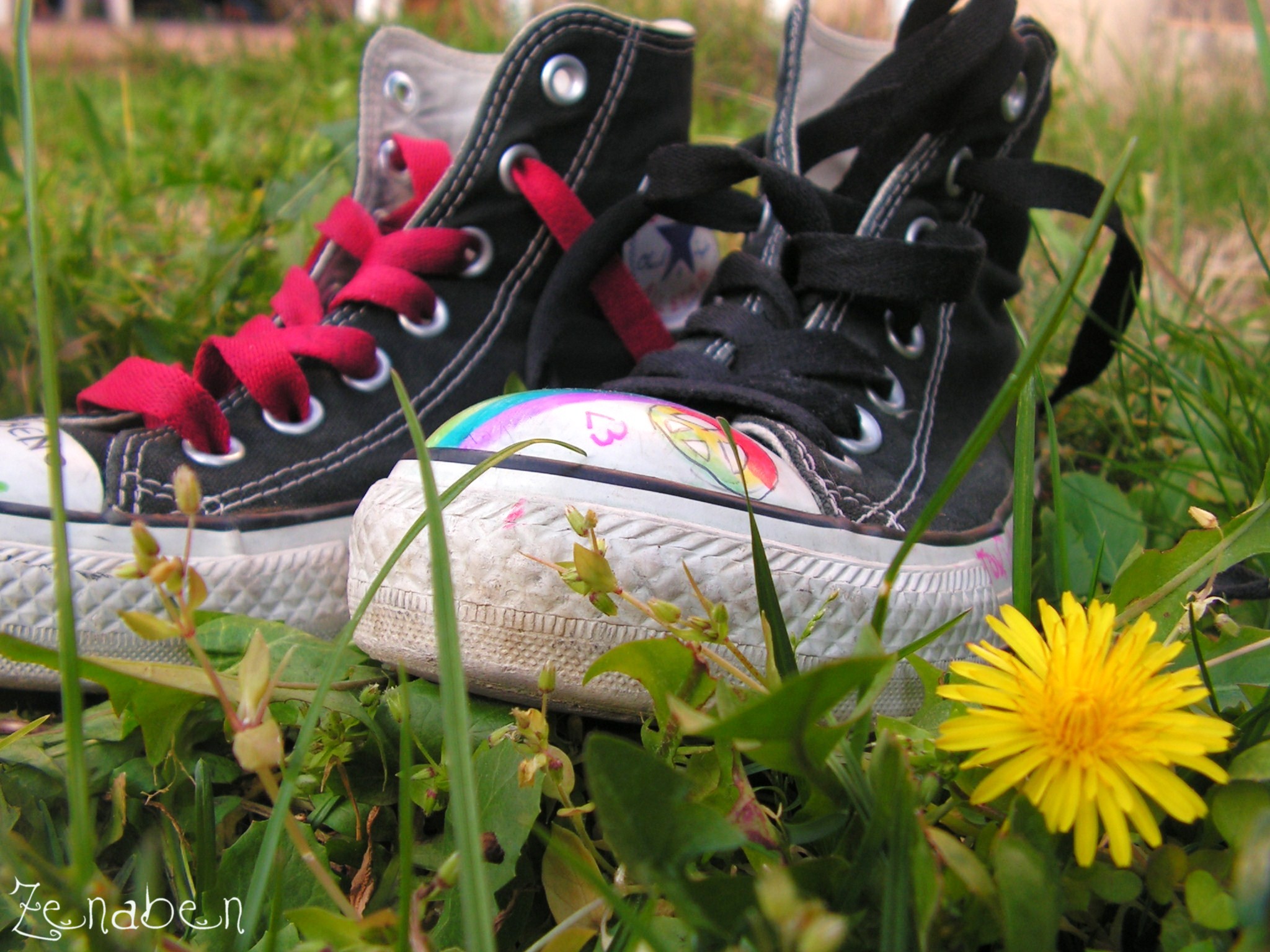 Wallpapers Objects Shoes Converse