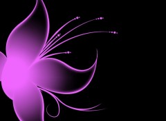 Wallpapers Digital Art Butterflower