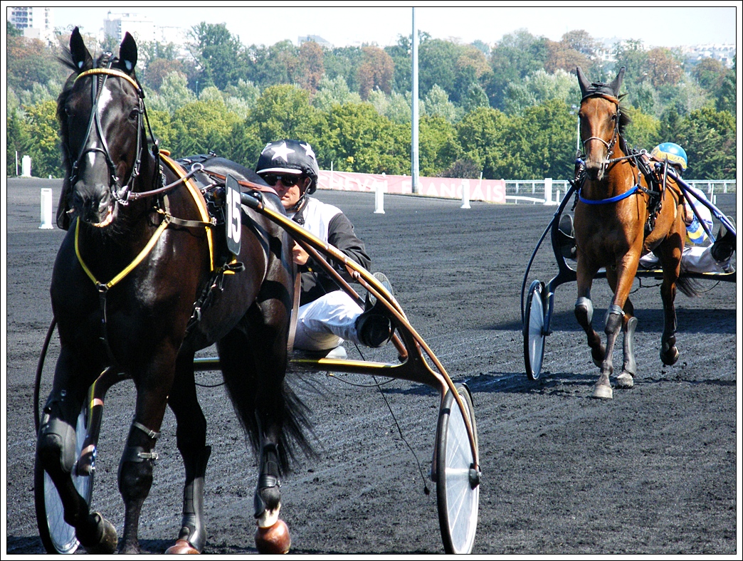 Fonds d'cran Sports - Loisirs Equitation 