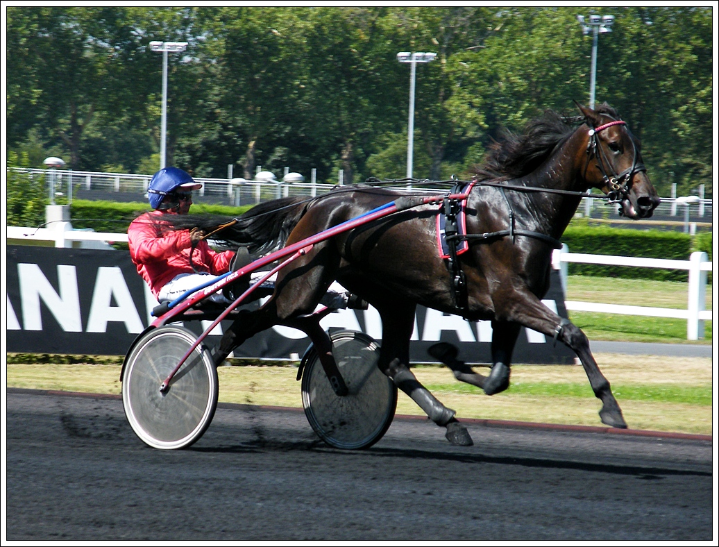 Fonds d'cran Sports - Loisirs Equitation Hippodrome de vincennes (suite)