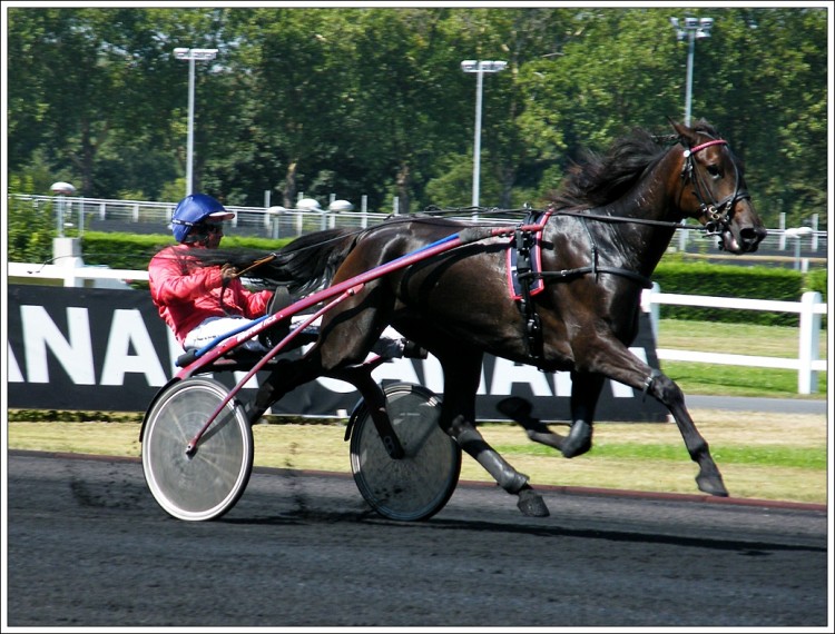 Wallpapers Sports - Leisures Horseriding Hippodrome de vincennes (suite)