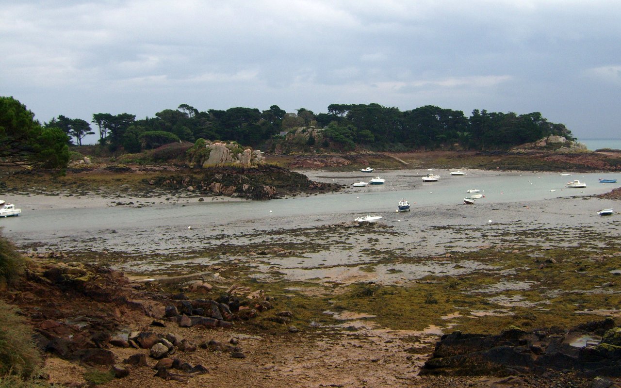 Wallpapers Nature Seas - Oceans - Beaches Ile de Brhat - Vue sur l'le Logodec