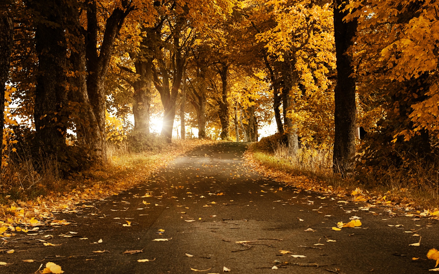 Wallpapers Nature Seasons - Fall Automne