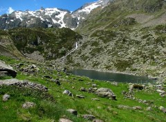 Fonds d'cran Nature le lac noir 