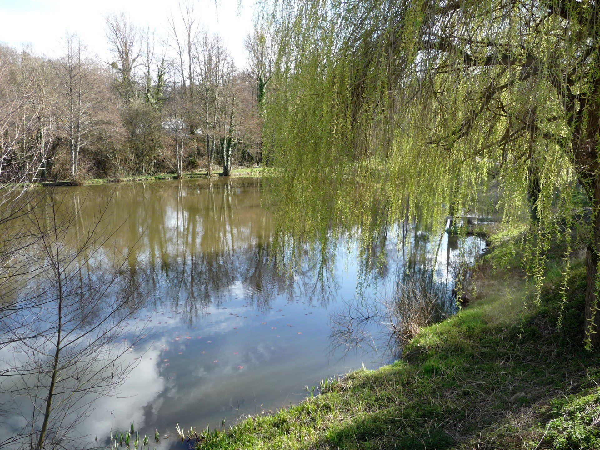 Fonds d'cran Nature Fleuves - Rivires - Torrents 