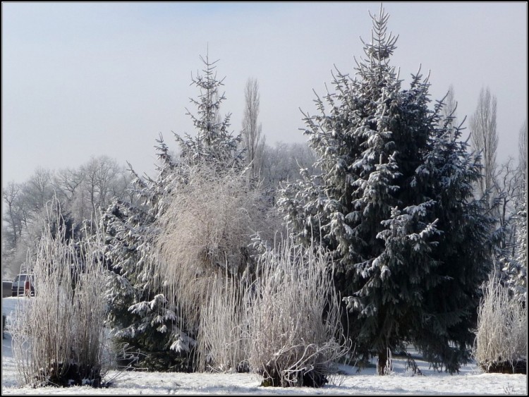 Fonds d'cran Nature Saisons - Hiver Superbe manteau  blanc