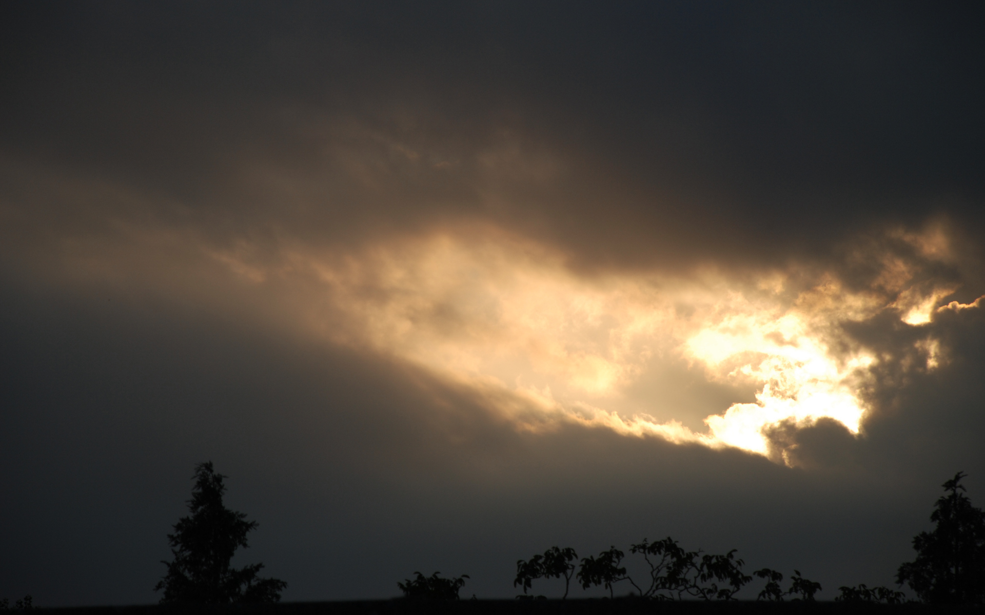 Wallpapers Nature Skies - Clouds Randonne des arbres au clair de soleil...