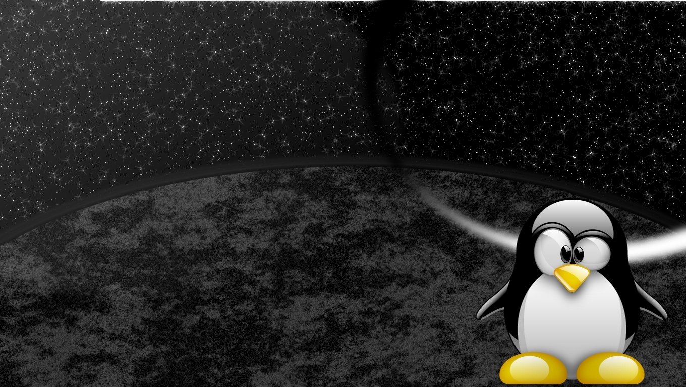 Fonds d'cran Informatique Linux Tux&Space