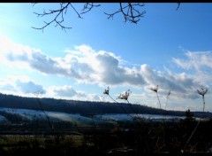 Fonds d'cran Art - Numrique nature paysage ciel fleurs