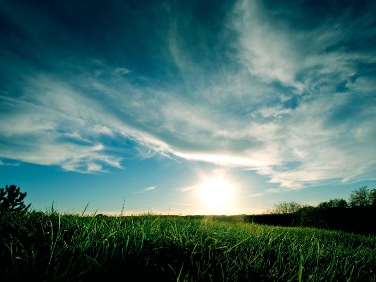 Fonds d'cran Nature Paysages Grassy Sunset