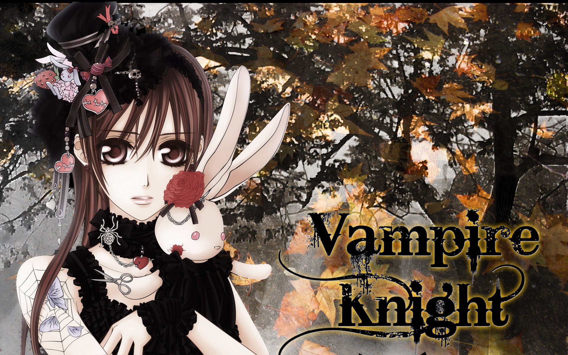 Wallpapers Manga Vampire Knight Vampire Knight wall