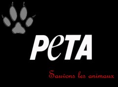 Wallpapers Brands - Advertising peta