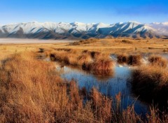 Wallpapers Nature Lake Poaka,New Zealand