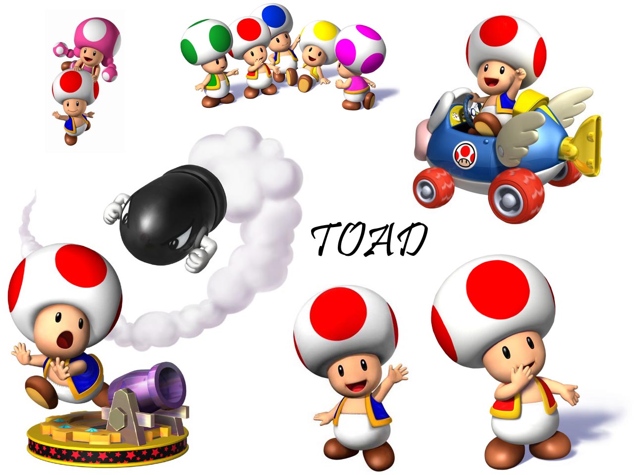 Fonds d'cran Jeux Vido Mario toad