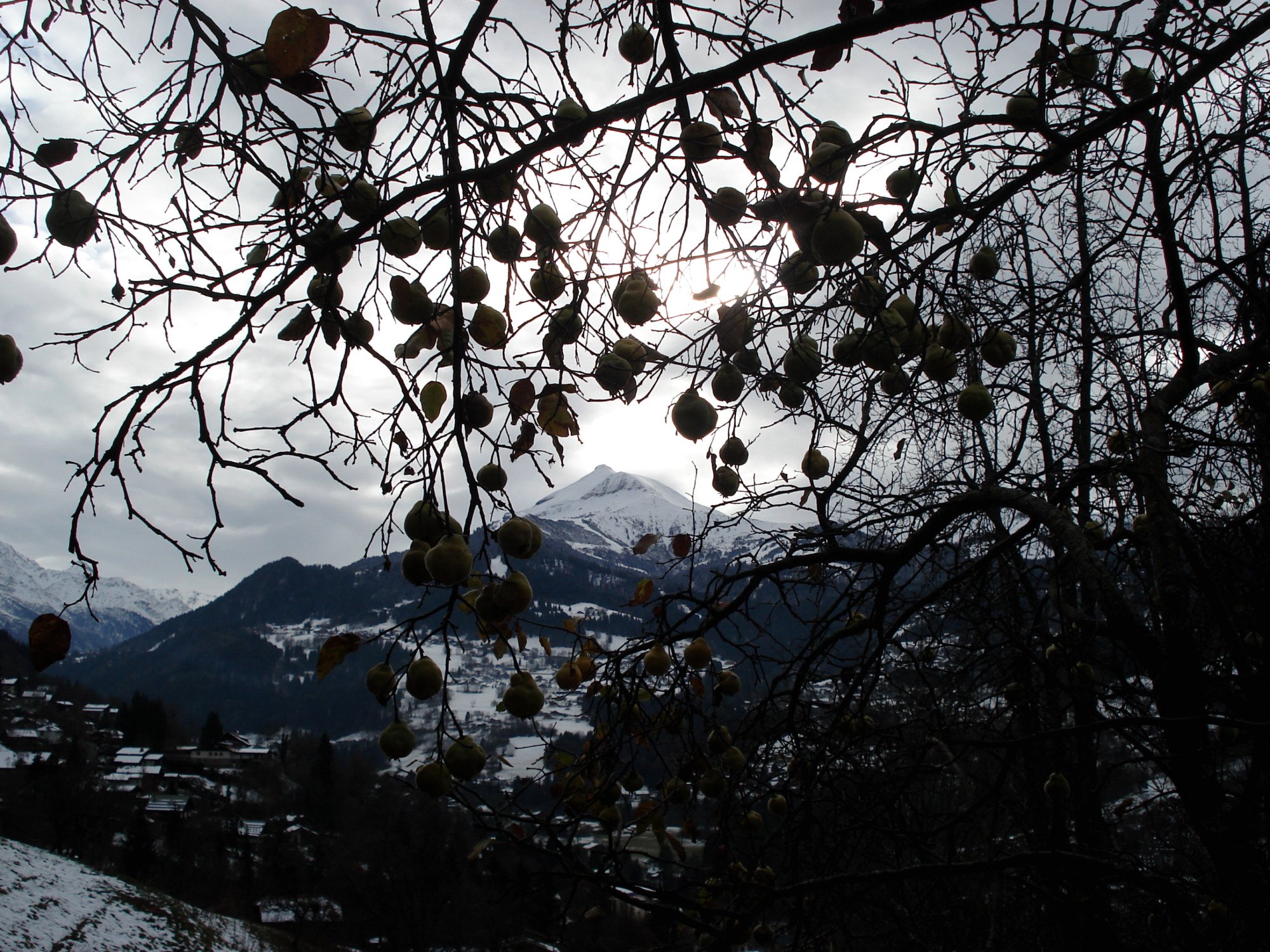 Fonds d'cran Nature Saisons - Hiver 