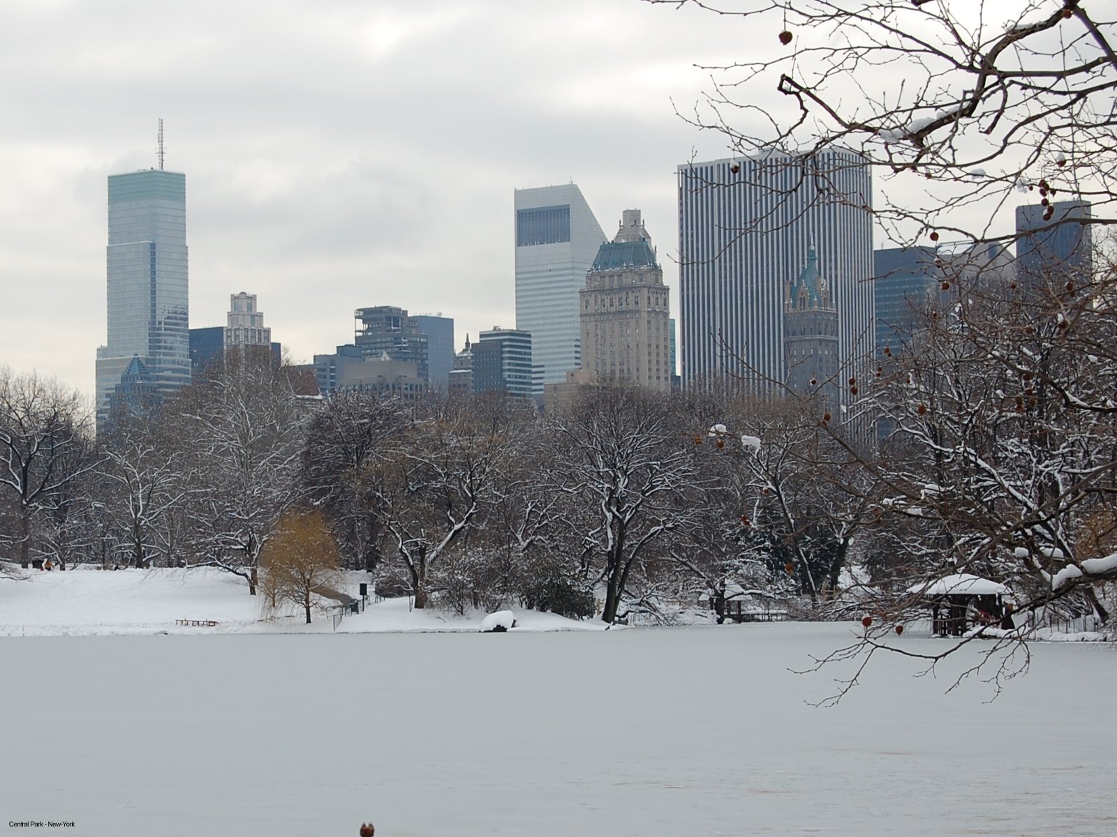 Fonds d'cran Voyages : Amrique du nord Etats-Unis > New York New-York - Central Park