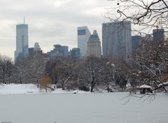 Fonds d'cran Voyages : Amrique du nord New-York - Central Park