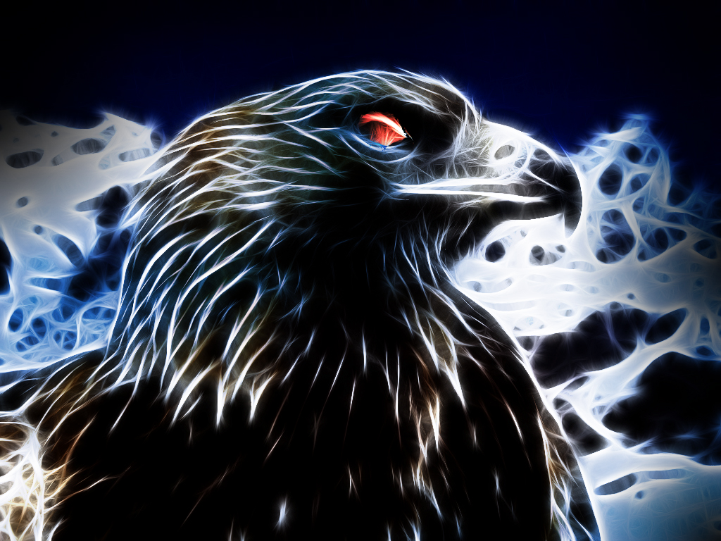 Wallpapers Digital Art Animals aigle de glace