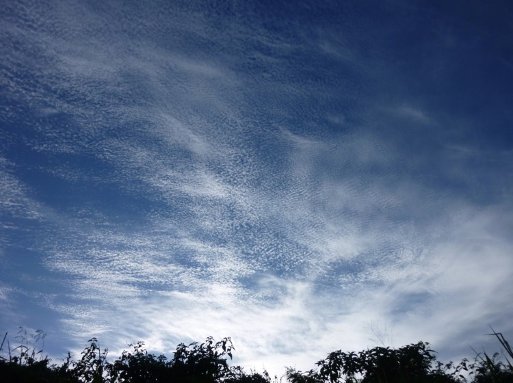 Wallpapers Nature Skies - Clouds Moutons