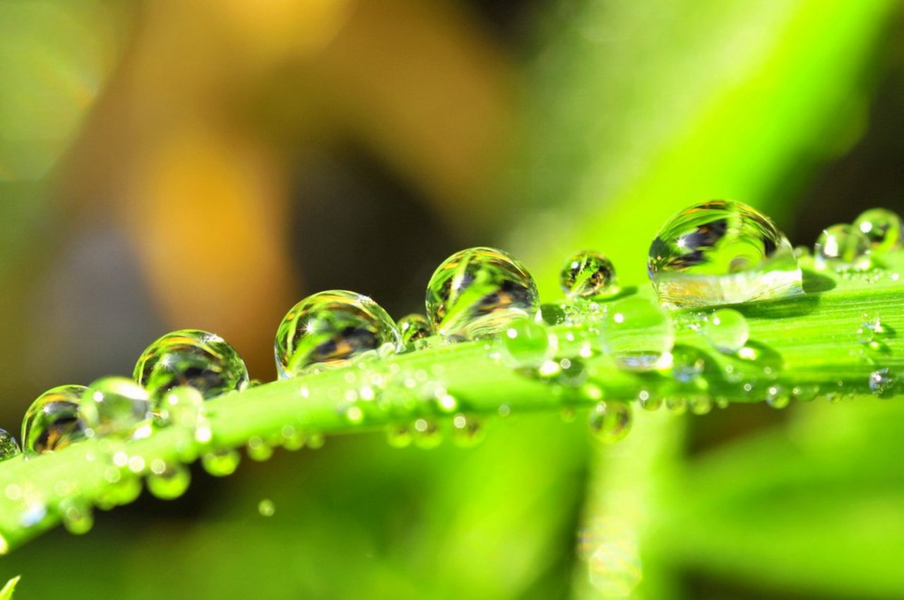 Wallpapers Nature Water - Drops 