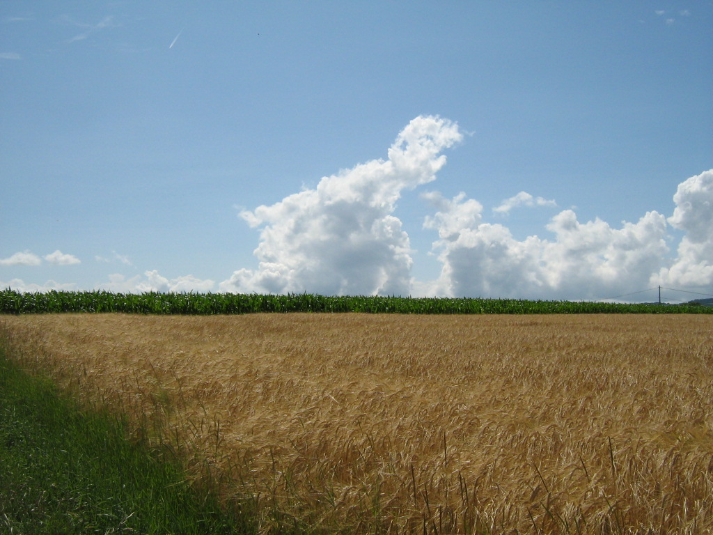 Fonds d'cran Nature Campagne 