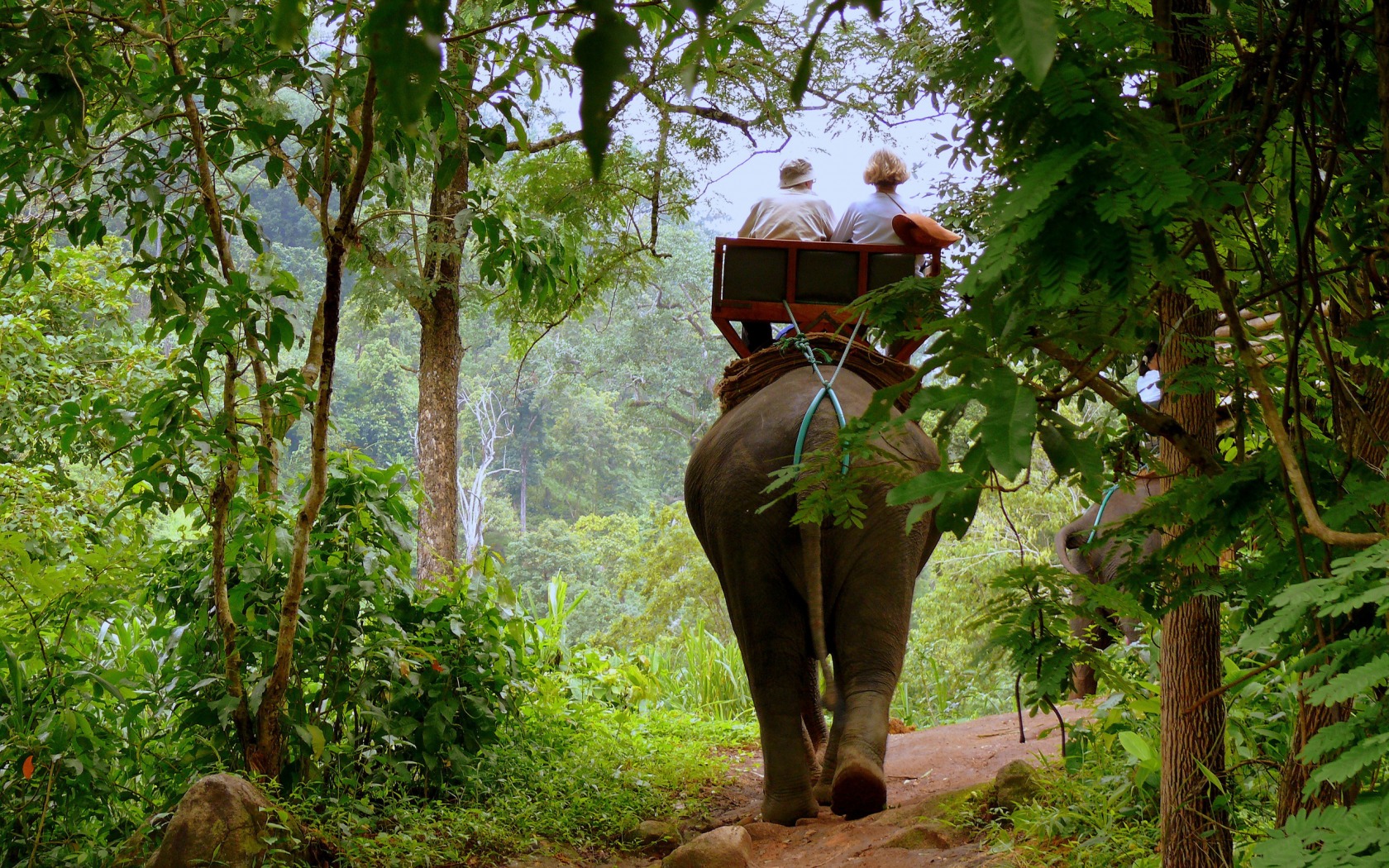 Fonds d'cran Animaux Elphants Elephant Ride