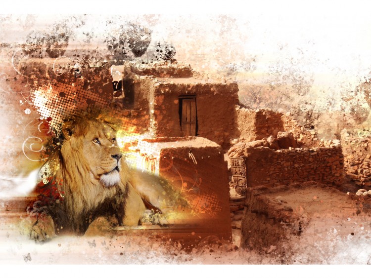 Wallpapers Animals Felines - Lions Lion