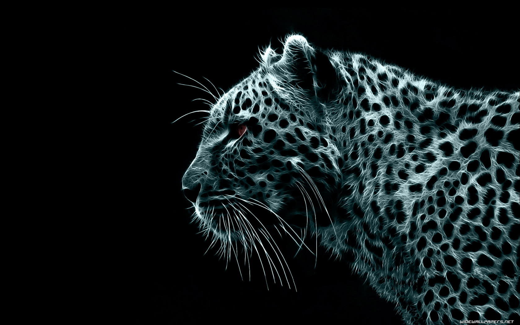 Wallpapers Digital Art Animals Flin