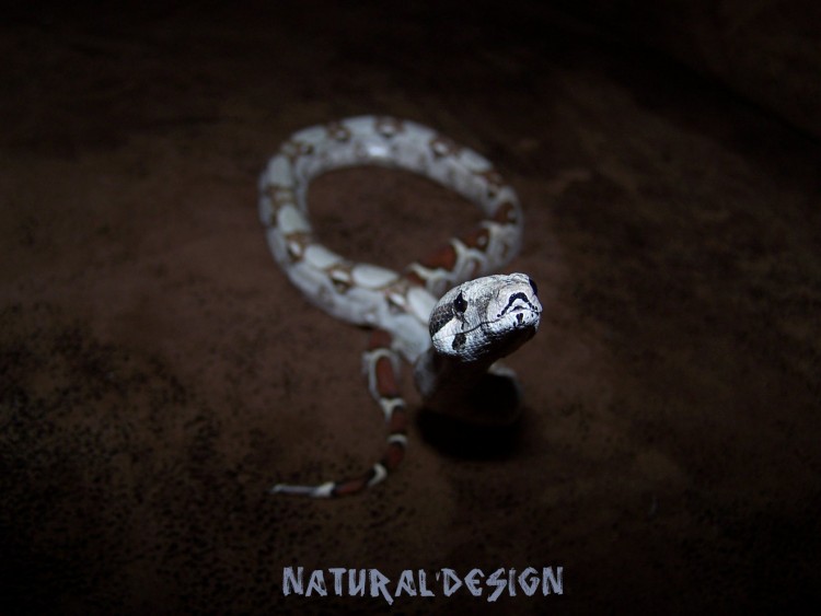 Wallpapers Animals Snakes 