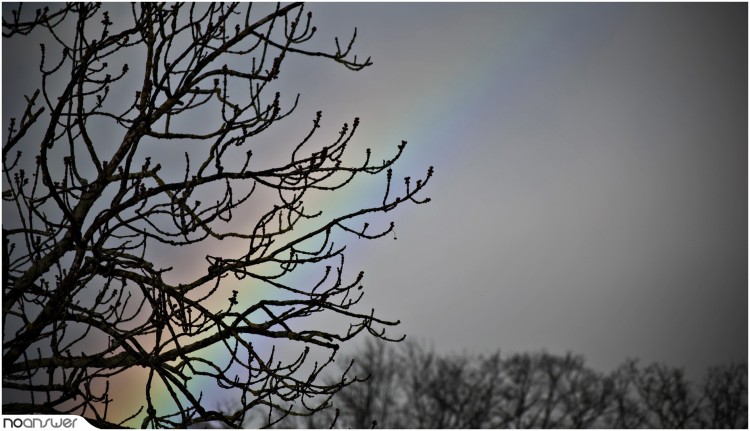 Fonds d'cran Nature Arcs-en-ciel Arc-en-ciel