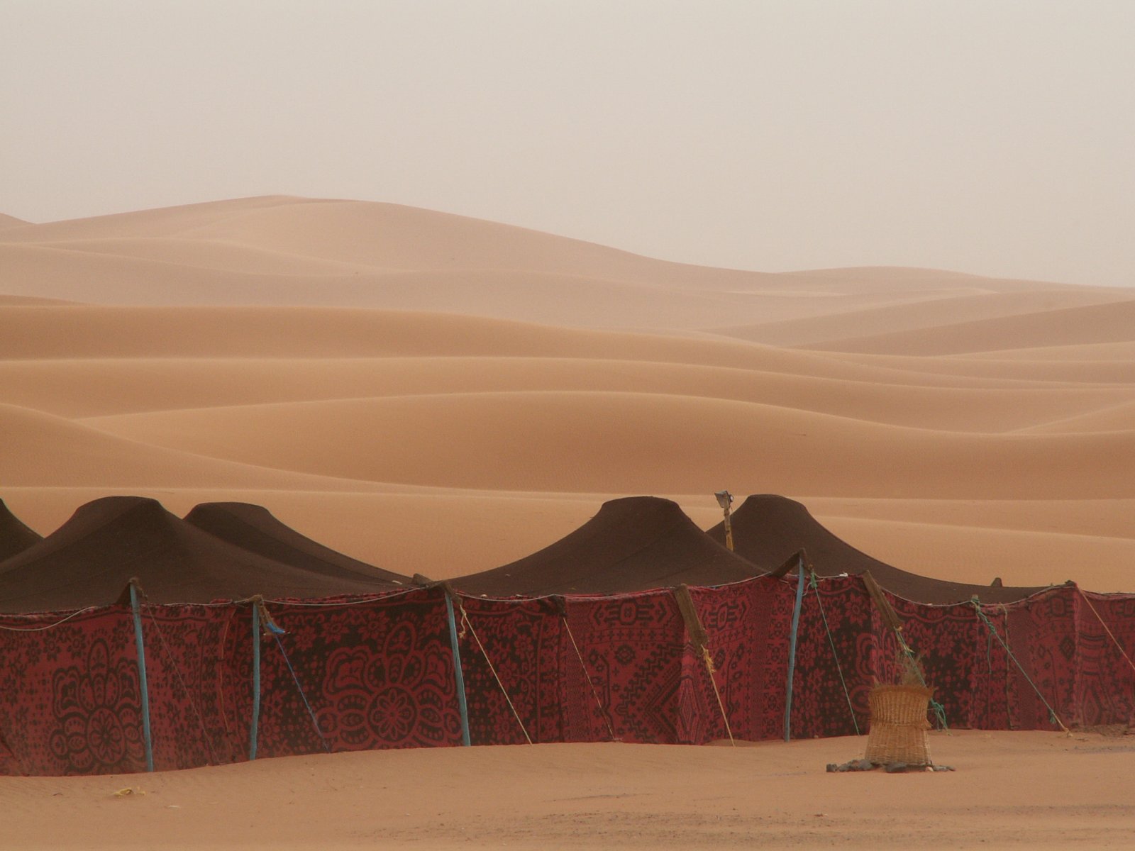 Wallpapers Trips : Africa Morocco Dunes de Merzouga