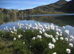 Fonds d'cran Nature Lac au Col de La Croix De Fer