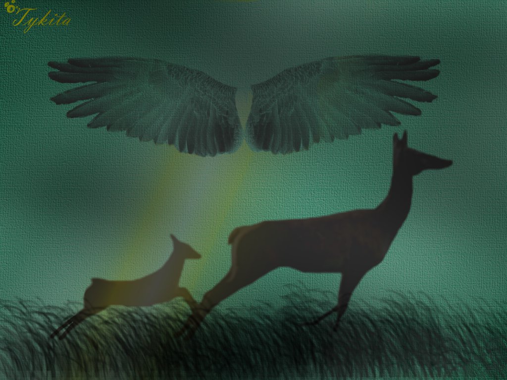 Wallpapers Digital Art Animals Faon