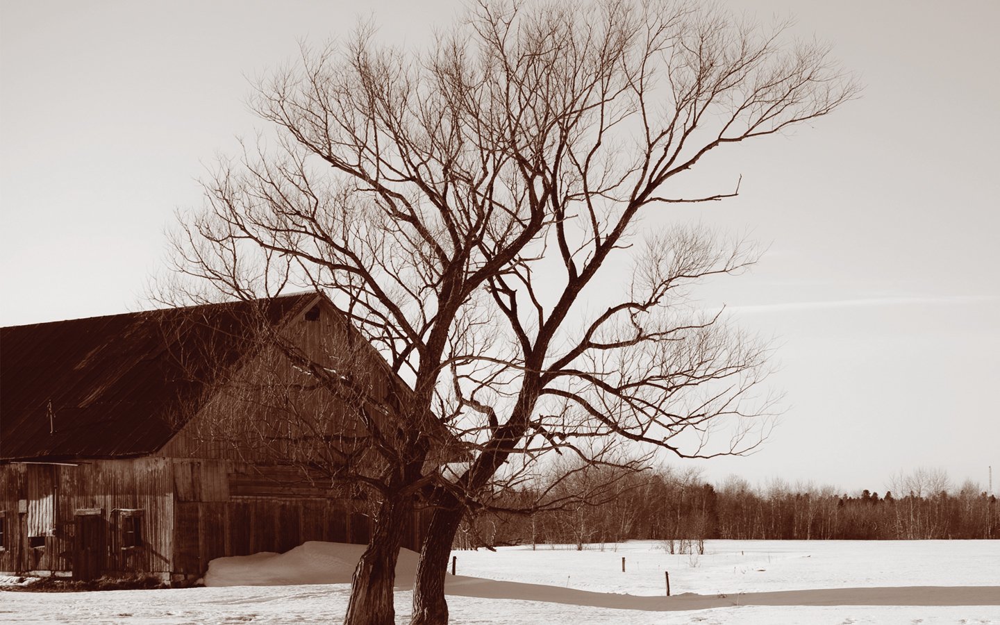 Wallpapers Nature Fields grange